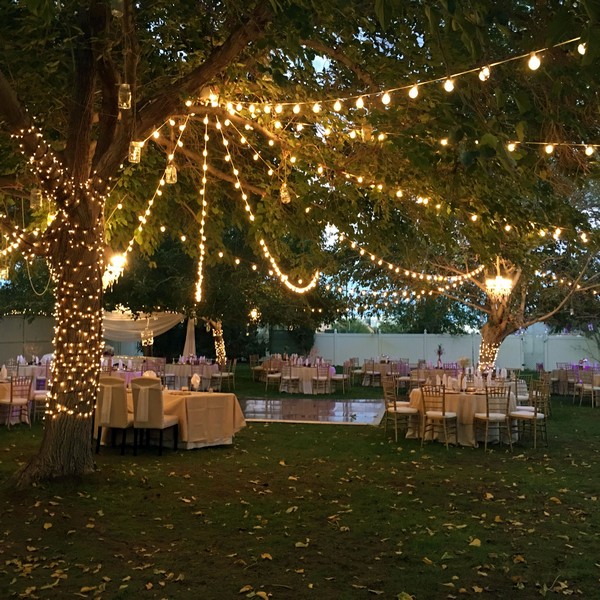 backyard wedding reception lighting ideas