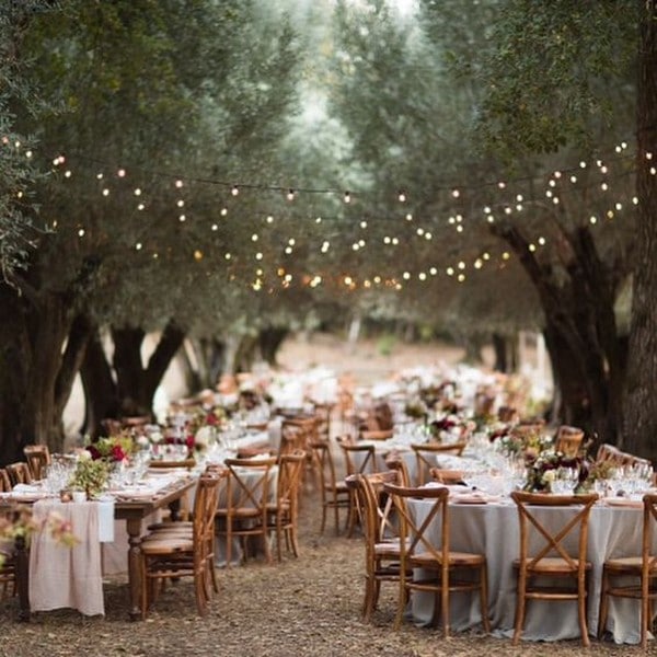 country forest wedding reception ideas with string lights
