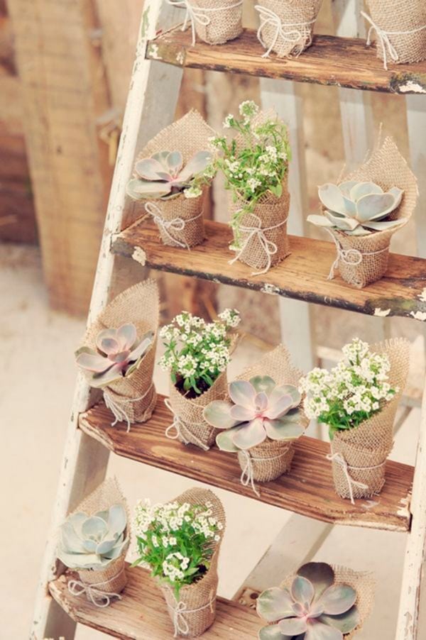 creative rustic wedding ideas to wedding favors on wood ladder