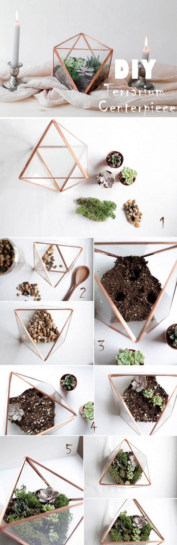 DIY succulent terrarium centerpiece for your modern weddings