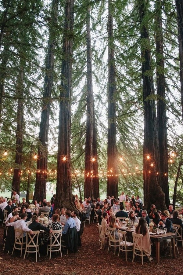 stunning wedding reception ideas with lights in the forest